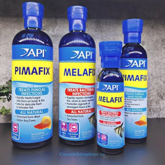 Api Melafix Chế Phẩm Kháng Khuẩn Kháng Nấm Cho Cá Cảnh - Cá Cảnh Thiên Phước