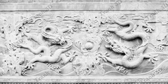 Nền Trắng-Tranh 3D  Dán Hồ Cá - Decal Dán Hồ- Cá Cảnh Thiên Phước
