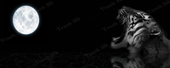 Tranh Con Hổ - Ngựa - Công-Tranh 3D  Dán Hồ Cá - Decal Dán Hồ- Cá Cảnh Thiên Phước