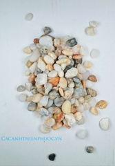 Cát 3 Màu Trang Trí Hồ Thủy Sinh- Cá Cảnh Thiên Phước