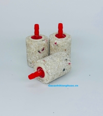 Đầu Sủi Oxy Cho Hồ Thủy Sinh- Cá Cảnh Thiên Phước