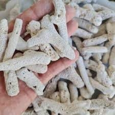 San Hô- Vật Liệu Lọc- Cá Cảnh Thiên Phước