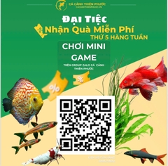 17/10/2025 Danh Sách Quà Tặng - Mini Game - Cá Cảnh Thiên Phước