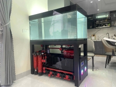Hồ Công Nghệ Mới - Hồ Công Nghệ Ốp Tủ Gỗ - Cá Cảnh Thiên Phước