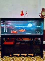 Hồ Công Nghệ Mới - Hồ Công Nghệ Ốp Tủ Gỗ - Cá Cảnh Thiên Phước