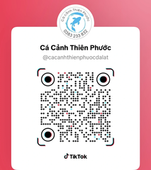 11/12/2025 Danh Sách Quà Tặng - Mini Game - Cá Cảnh Thiên Phước