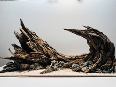 Layout Nature Setup Hồ Thủy Sinh - Cá Cảnh Thiên Phước