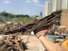 Lũa San Đá- Lũa Setup Hồ Thủy Sinh- Cá Cảnh Thiên Phước