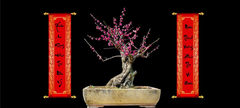 Tranh Chữ Thư Pháp-Tranh 3D  Dán Hồ Cá - Decal Dán Hồ- Cá Cảnh Thiên Phước