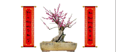 Tranh Chữ Thư Pháp-Tranh 3D  Dán Hồ Cá - Decal Dán Hồ- Cá Cảnh Thiên Phước