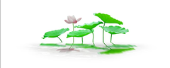 Nền Trắng-Tranh 3D  Dán Hồ Cá - Decal Dán Hồ- Cá Cảnh Thiên Phước