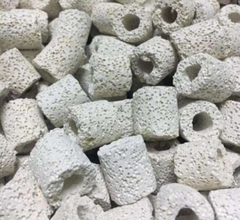 Sứ Viên Trắng- Vật Liệu Lọc -Cá Cảnh Thiên Phước