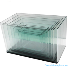 Hồ Kính Đúc Mini Thủy Sinh- Hồ Kính-Cá Cảnh Thiên Phước
