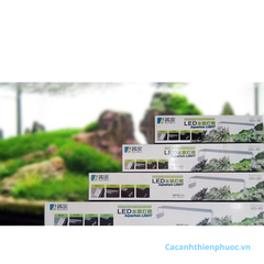 Đèn Led Aquablue 3 Chế Độ Cho Hồ Thủy Sinh- Cá Cảnh Thiên Phước