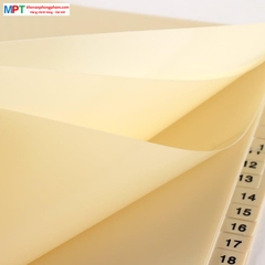 Chia file nhựa 1-31 XF-31