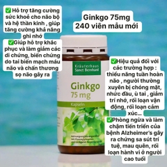 Viên Uống Bổ Não Ginkgo 75mg Kräuterhaus Sanct Bernhard – Hỗ Trợ Trí Nhớ, Tuần Hoàn Não Số 1 Tại Đức