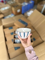 Bộ Bát Sứ Phong Cách Nhật 6 Chiếc – Họa Tiết Truyền Thống Đa Sắc , Vẻ Đẹp Trang Nhã Từ Xứ Phù Tang
