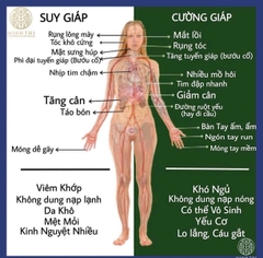 Viên Uống Hỗ Trợ Tuyến Giáp, Cường Giáp Mercazole 5mg – Giải pháp chăm sóc sức khỏe tuyến giáp