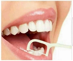 Tăm Chỉ Nha Khoa Dontodent Zahnseide Sticks 40 chiếc