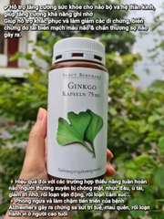 Viên Uống Bổ Não Ginkgo Kapseln Sanct Bernhard 120 viên – Hỗ Trợ Tuần Hoàn Máu Não, Cải Thiện Trí Nhớ
