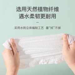 Khăn Giấy Ướt Viên Nén TOWEL - 5 Viên 15709