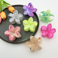 Kẹp Tóc Nhựa Hoa Sứ 5 Cánh 8cm Loan Vân 13012