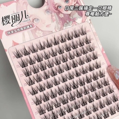 Hộp Mi Giả 10 Hàng YINGLIER 17569