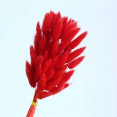 Bó Hoa Đuôi Thỏ Khô 17988