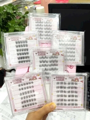 Hộp Mi Giả 6 Hàng CLUSTER LASHES Sẵn Keo 16715
