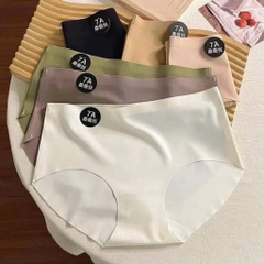 Set 5 Quần Chip, Lót Đúc Su Thun Lạnh Trơn 16449