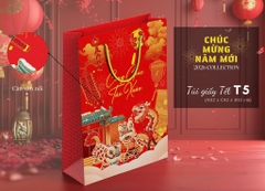 Túi Quà Cứng Dây Xoắn 32*42*13cm TẾT 16746