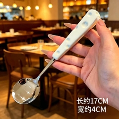 Muỗng Thìa Inox Cán Phô Mai 17541