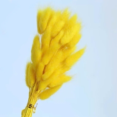 Bó Hoa Đuôi Thỏ Khô 17988
