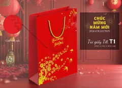 Túi Quà Cứng Dây Xoắn 32*42*13cm TẾT 16746