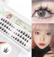 Hộp Mi Giả 3 Hàng ADJMGC 16690