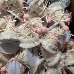 Kẹp Tóc Kiểu Nón Nơ Ruy Băng Chóp Pompom Hồng 15469