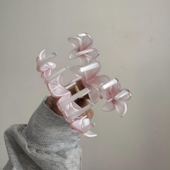 Kẹp Tóc Nhựa Hoa Sứ 3 Hoa Tráng Gương 12879