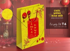 Túi Quà Cứng Dây Xoắn 32*42*13cm TẾT 16746