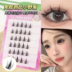 Hộp Mi Giả 6 Hàng Sẵn Keo False EyeLashes 16691