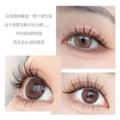 Hộp 5 Cặp Mi Giả Gân Trong Tự Nhiên Boutique Eyelash 15333