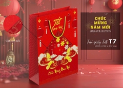 Túi Quà Cứng Dây Xoắn 32*42*13cm TẾT 16746