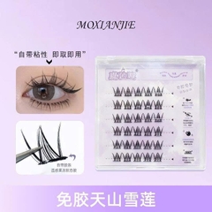 Hộp Mi Giả MOXIANJIE Kèm Keo 16402