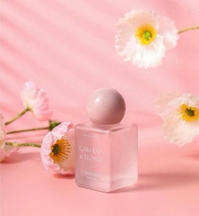 Nước Hoa INDEXES Hồng 15489