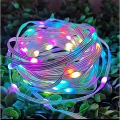 Đèn Nháy Led 10M USB Có Điều Khiển, Theo Nhạc 16401