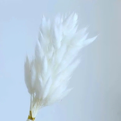 Bó Hoa Đuôi Thỏ Khô 17988