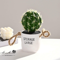 Chậu Xương Rồng Giả Dây Thừng Decor 16069