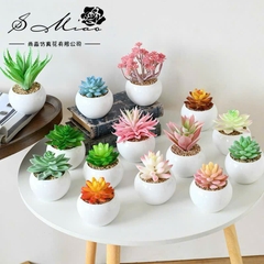 Sen Đá Chậu Sứ Decor Trang Trí 16523