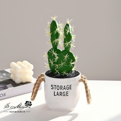 Chậu Xương Rồng Giả Dây Thừng Decor 16069