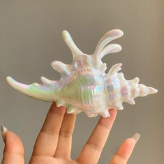 Kẹp Tóc Nhựa Hình Vỏ Ốc Biển Trắng 15543