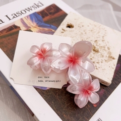 Kẹp Tóc Nhựa Hoa Sứ 3 Hoa Tráng Gương 12879